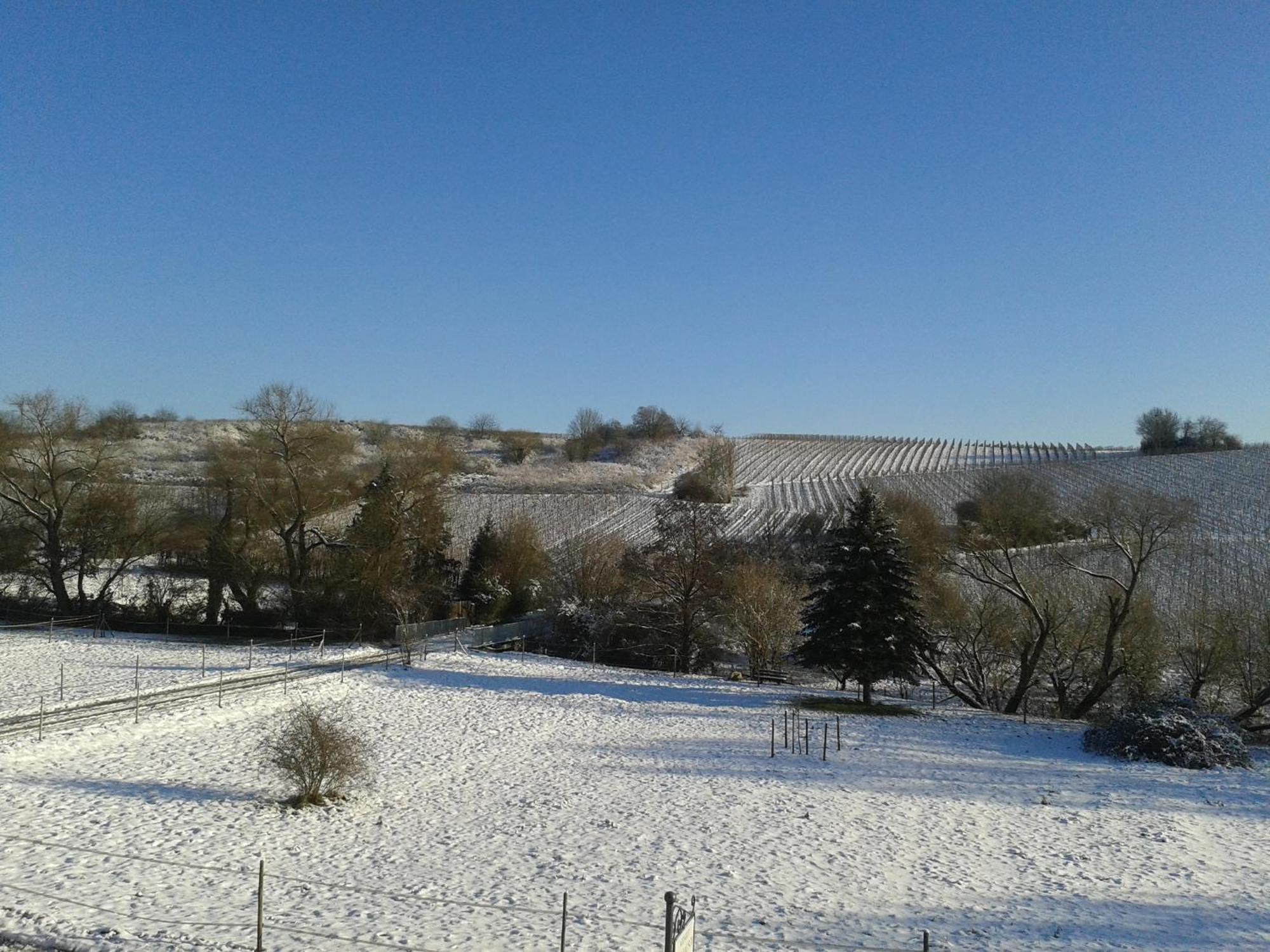 Weingut Hans Bausch Apartment Hattenheim Luaran gambar